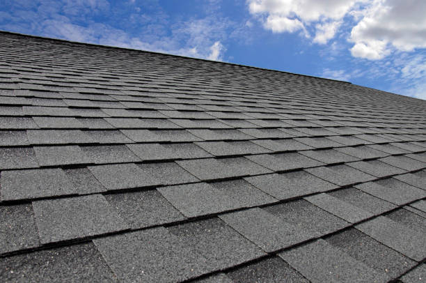 Best Roof Moss and Algae Removal  in Independence, OH
